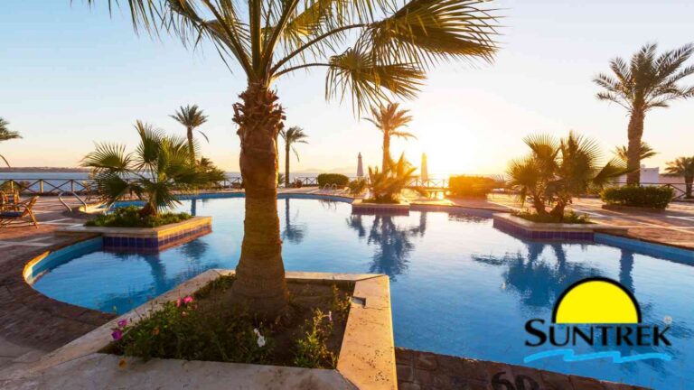 Resort swimming pool at sunset with palm trees.